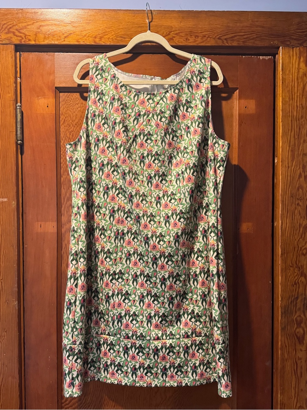 Rachel Antonoff  - Sam Dress in Dissected Frogs 🐸